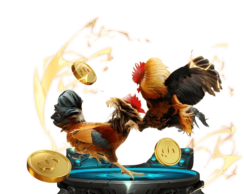 Lời khuyên chơi cờ bạc an toàn